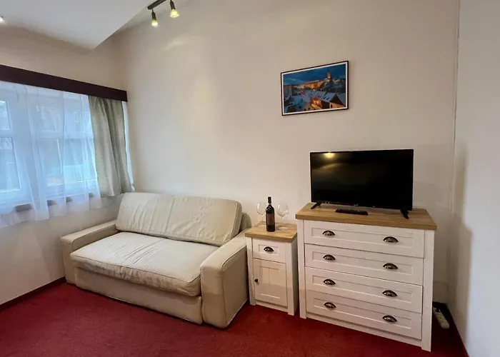 泰尼斯-森特鲁姆旅馆 3* Český Krumlov